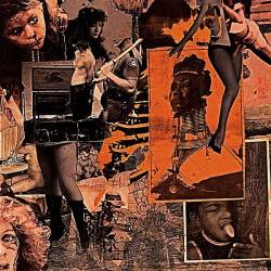 Rectal Hygienics : Ultimate Purity